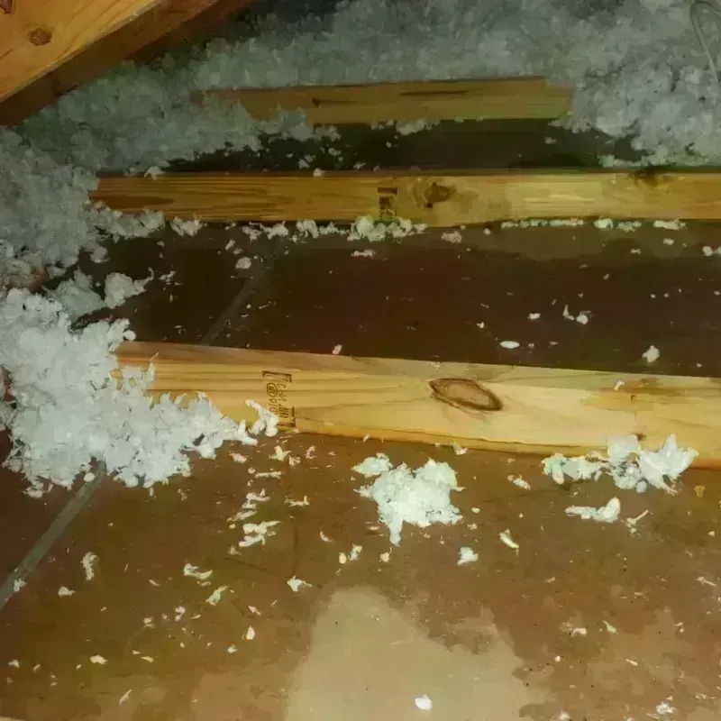 Attic Water Damage in Nephi, UT