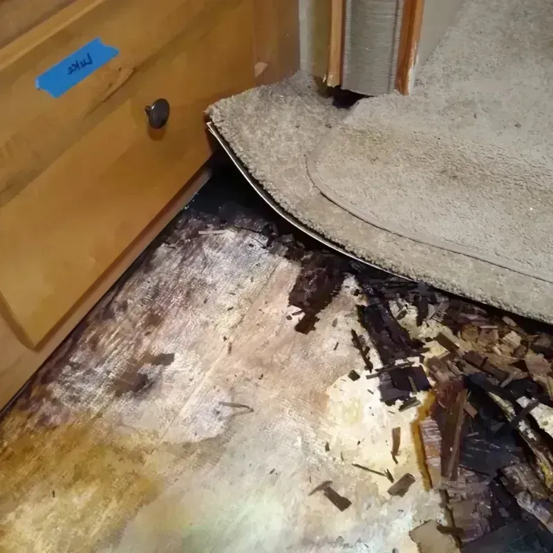 Wood Floor Water Damage in Nephi, UT